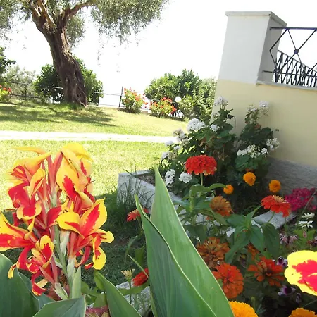 Apartahotel Rising Sun Apartments&studios 2*
